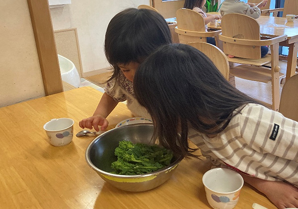 photo06